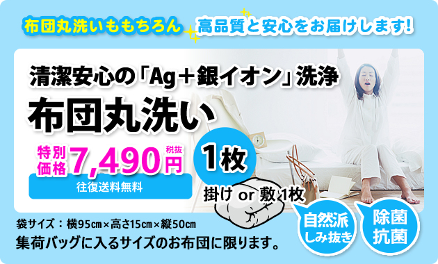 布団丸洗い 1枚